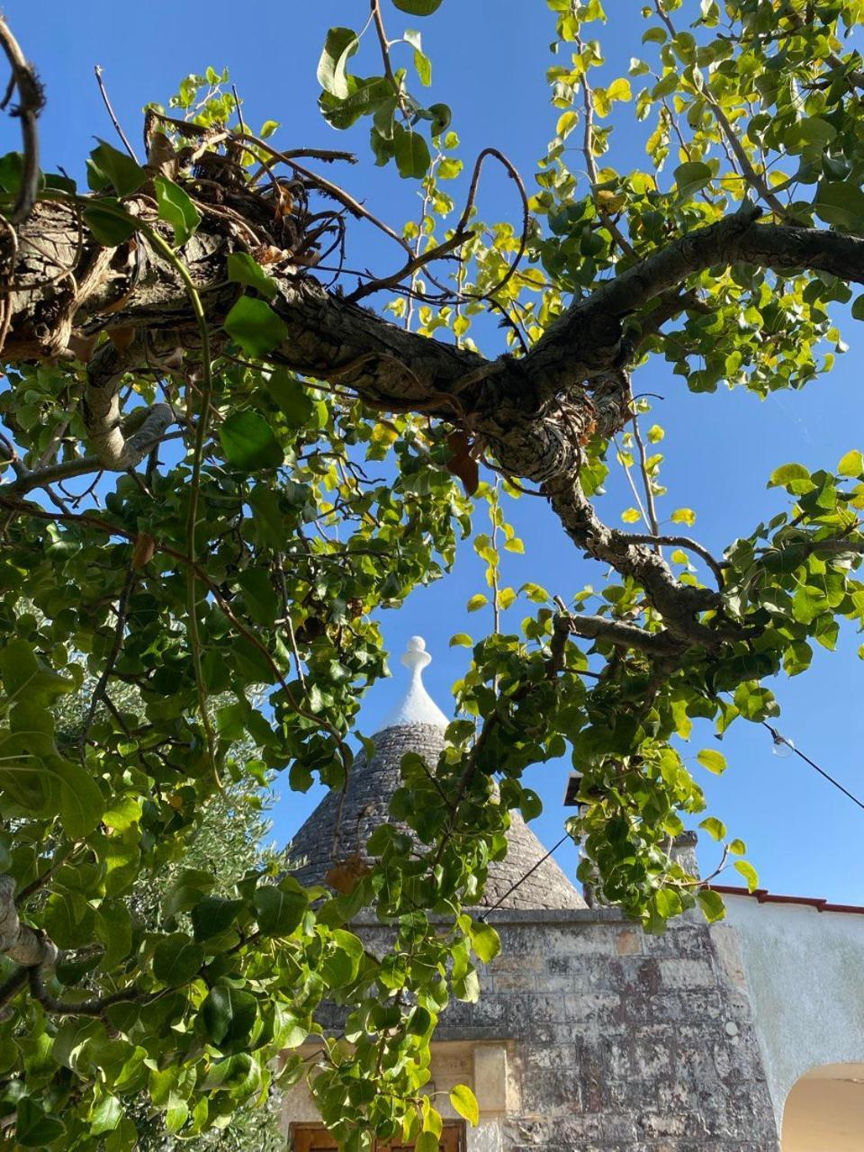 Il Trullo Del Lazzeruolo Villa Santa Lucia  Dış mekan fotoğraf